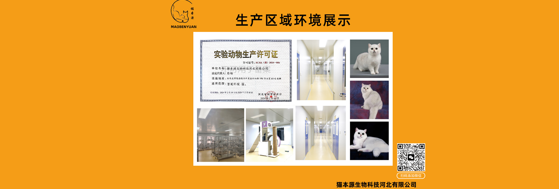 生产区环境展示